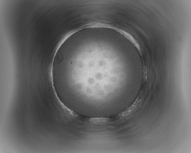 X0000116460863200912161231