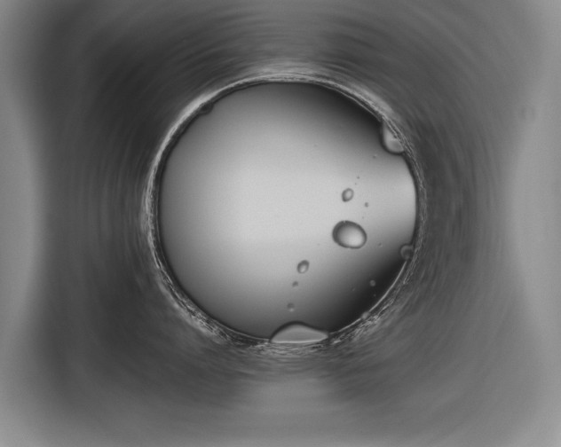 X0000116460864200912161231