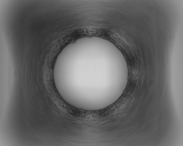 X0000116460865200912161230