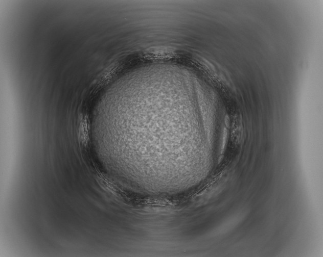 X0000116460866200912161230