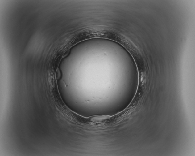 X0000116460867200912161230