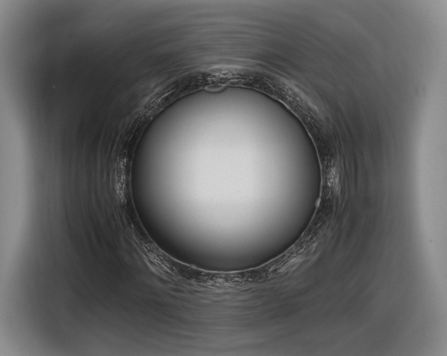 X0000116460868200912161230