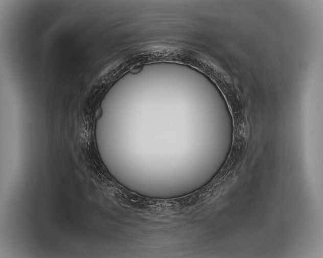 X0000116460869200912161230