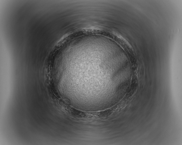 X0000116460870200912161230