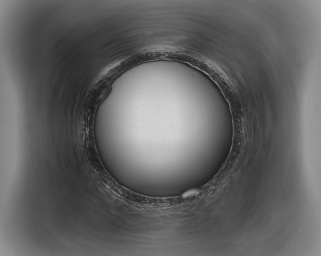 X0000116460872200912161230