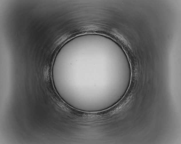 X0000116460873200912161230