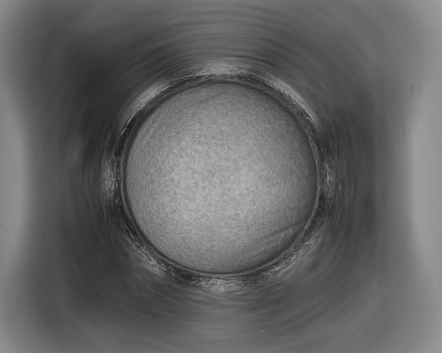 X0000116460874200912161230