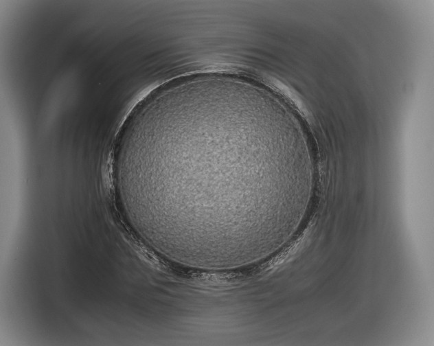 X0000116460875200912161230