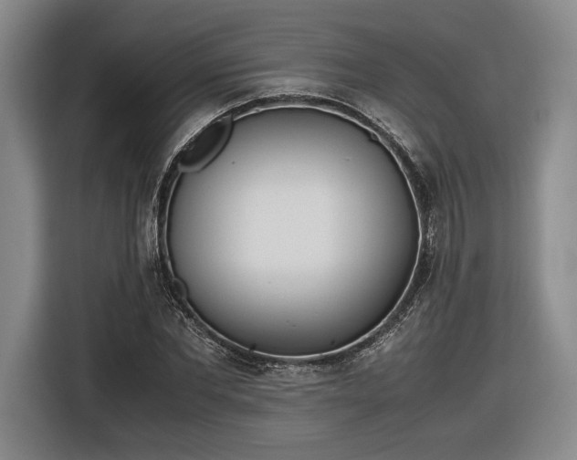 X0000116460877200912161230