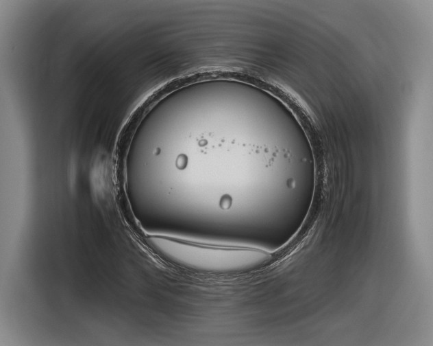 X0000116460878200912161230