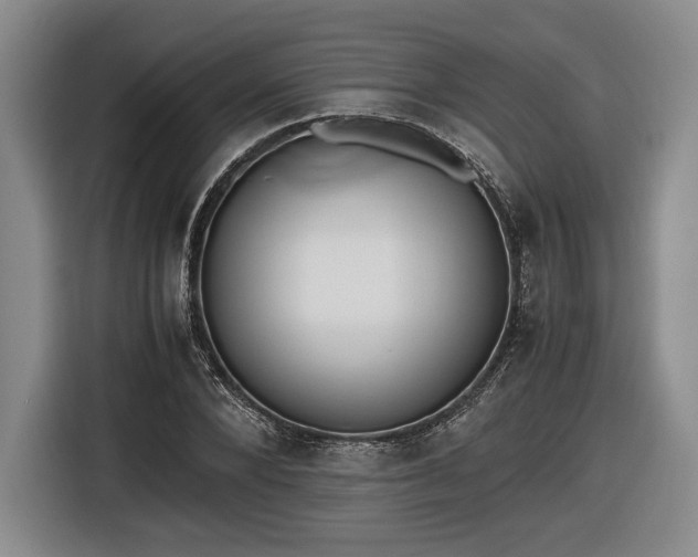 X0000116460880200912161230