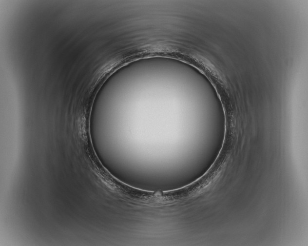 X0000116460881200912161230
