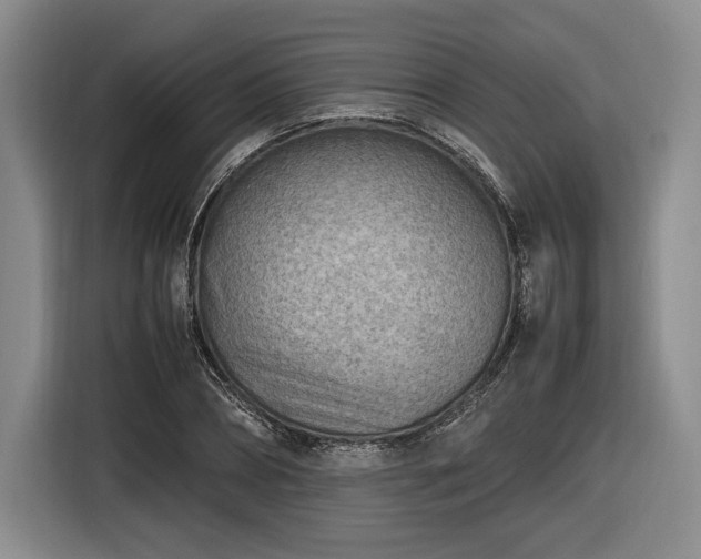 X0000116460882200912161230