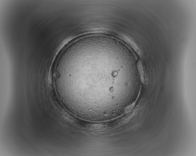 X0000116460883200912161230