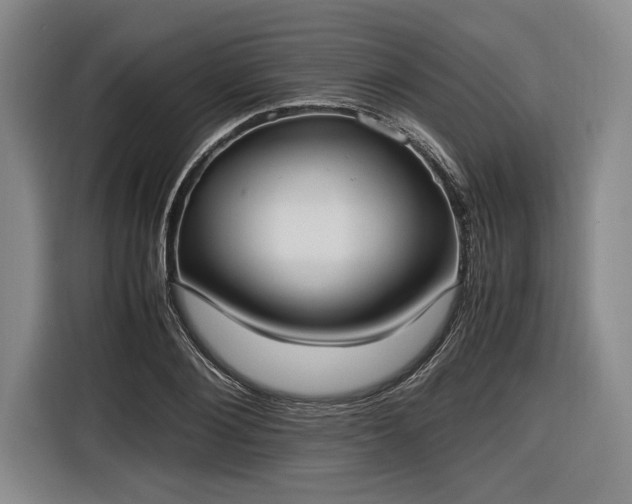 X0000116460884200912161230