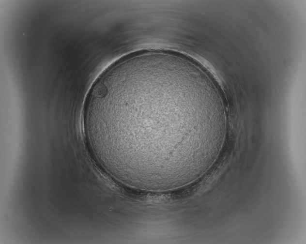 X0000116460887200912161230