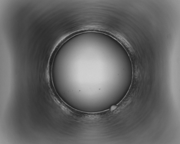 X0000116460888200912161230