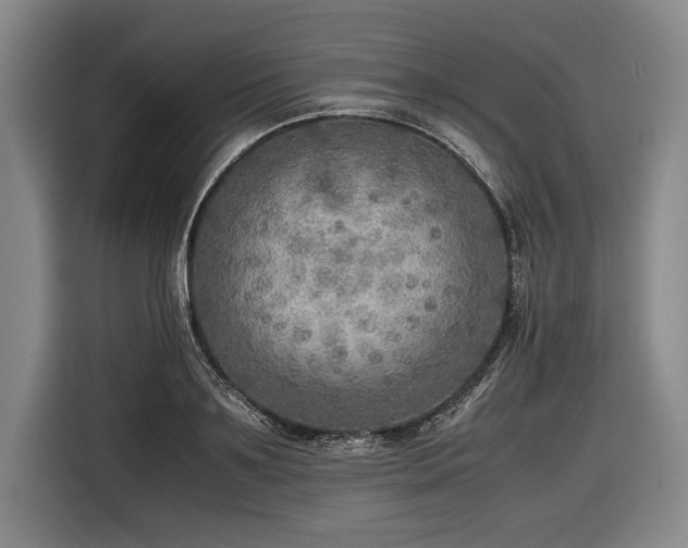 X0000116460891200912161230