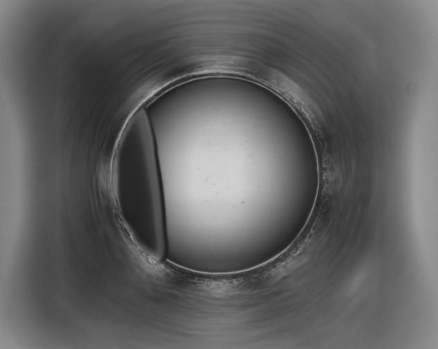 X0000116460892200912161230