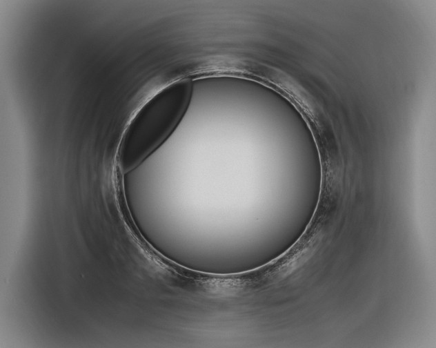 X0000116460893200912161230