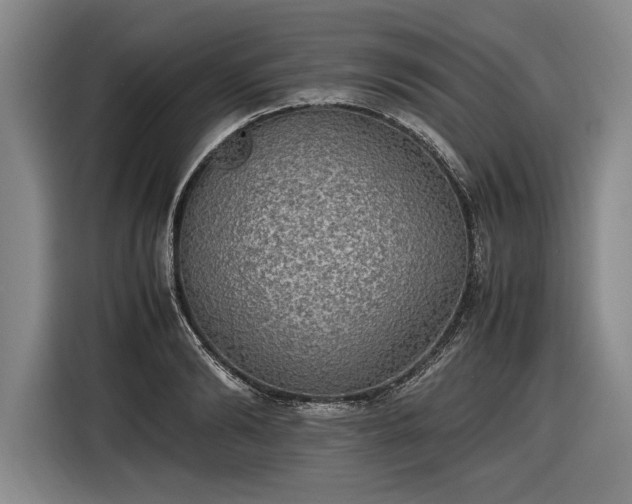X0000116460894200912161230