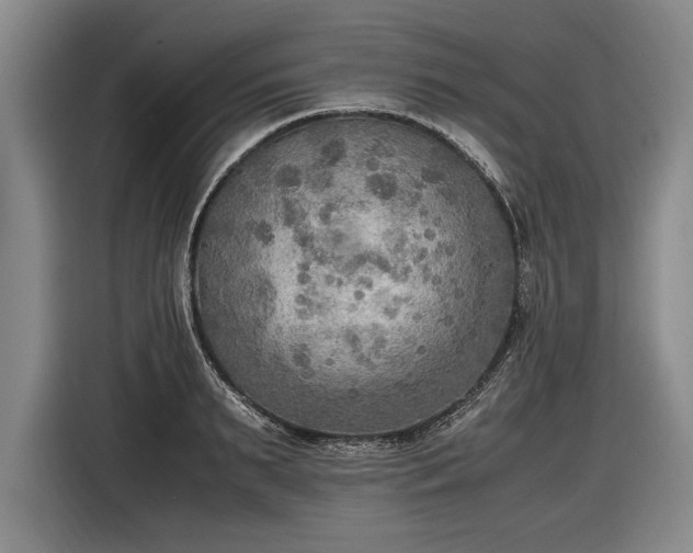 X0000116460895200912161230