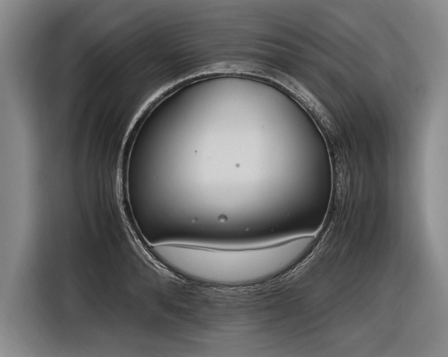 X0000116460896200912161230