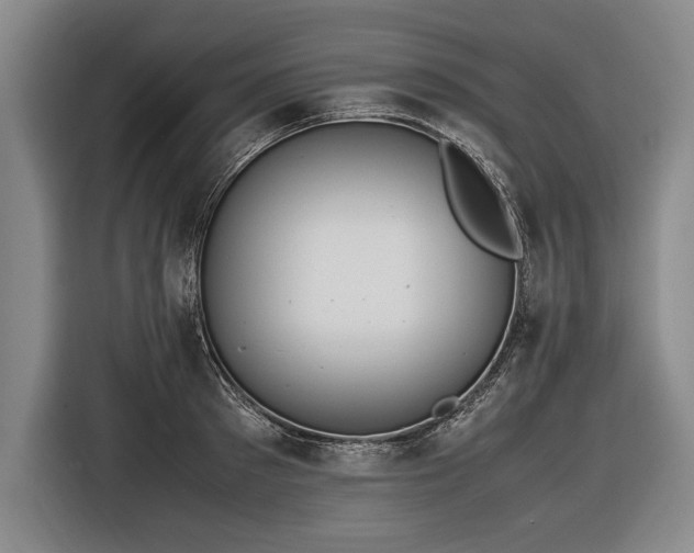 X0000116460897200912161230