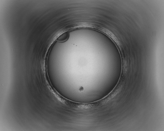 X0000116460898200912161230