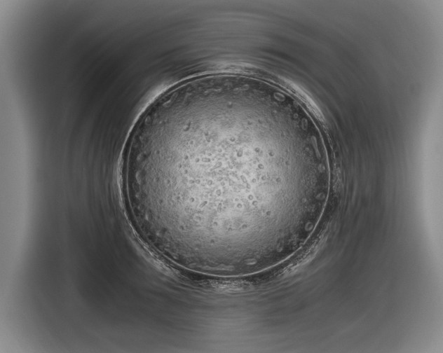 X0000116460899200912161230