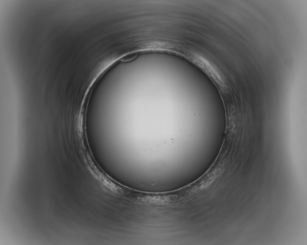 X0000116460900200912161230