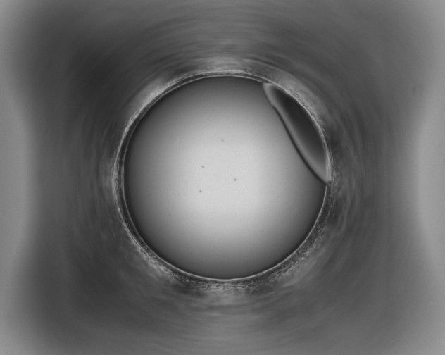 X0000116460901200912161230
