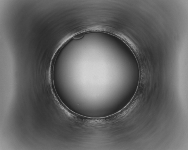 X0000116460902200912161230