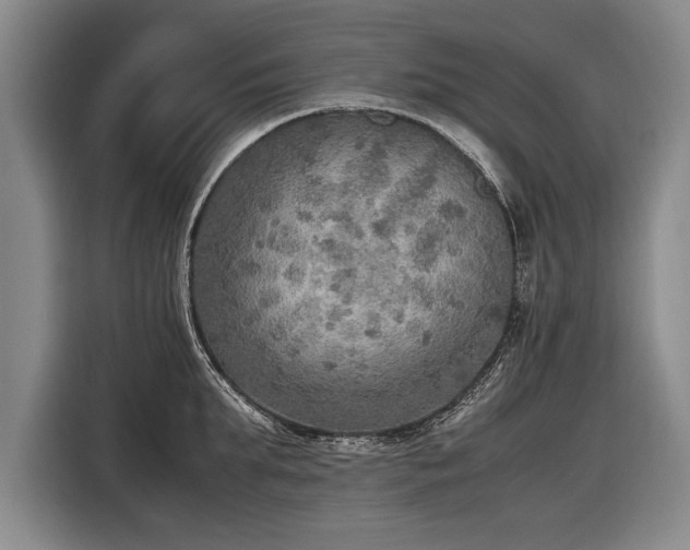 X0000116460903200912161230