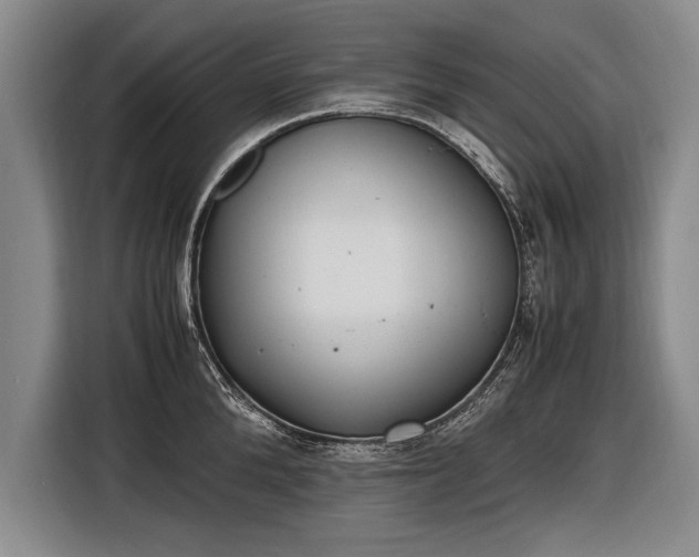 X0000116460904200912161230
