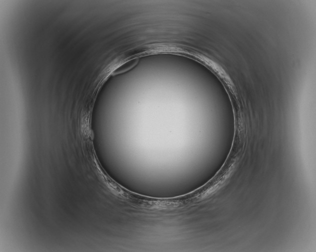 X0000116460905200912161230