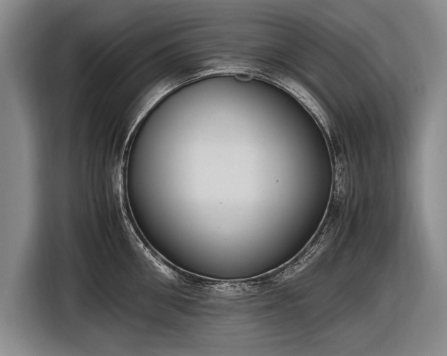 X0000116460906200912161230