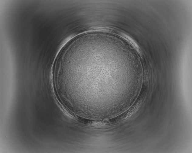 X0000116460907200912161230