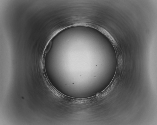 X0000116460908200912161230