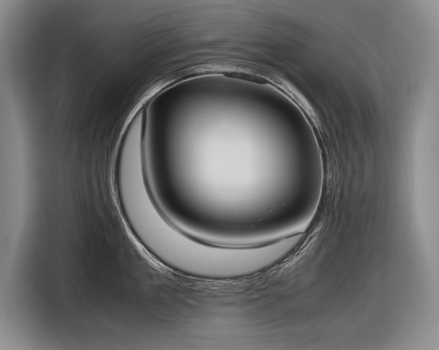 X0000116460909200912161229