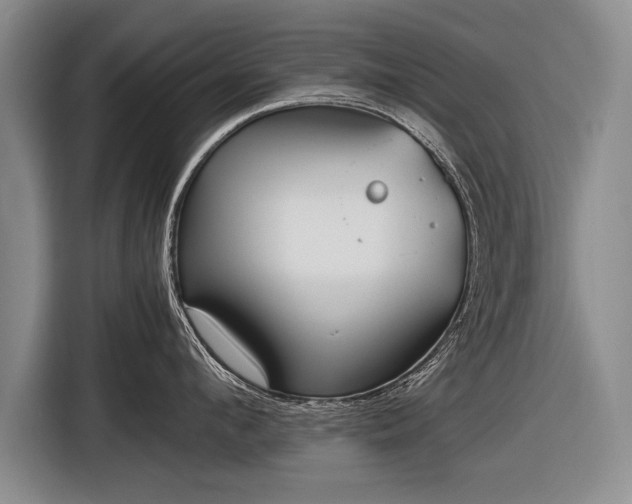 X0000116460912200912161229