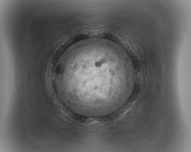 X0000116460913200912161229