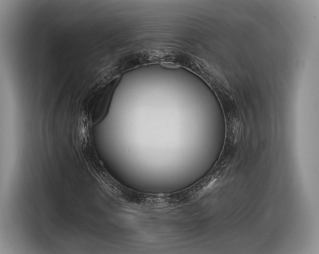 X0000116460914200912161229
