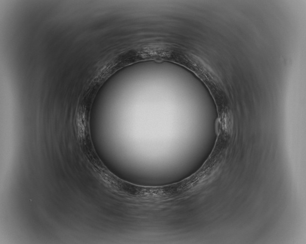 X0000116460915200912161229