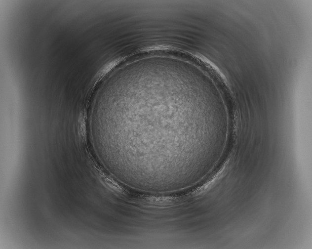 X0000116460921200912161229