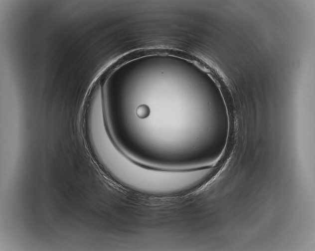 X0000116460925200912161229