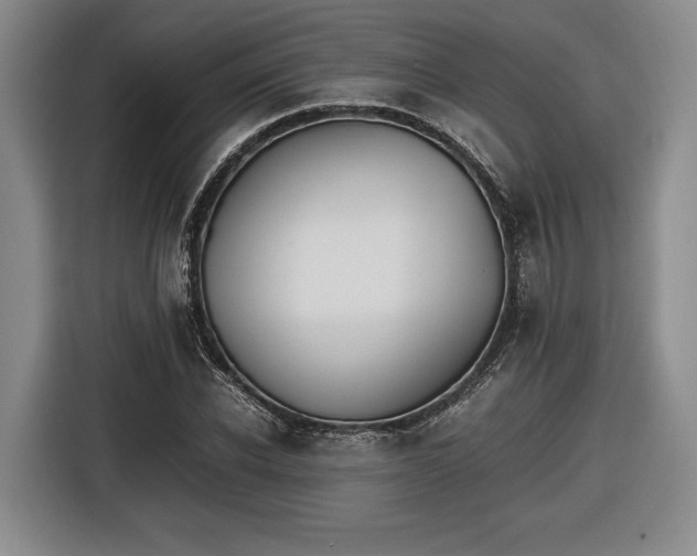 X0000116460926200912161229