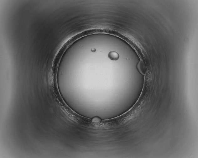 X0000116460927200912161229
