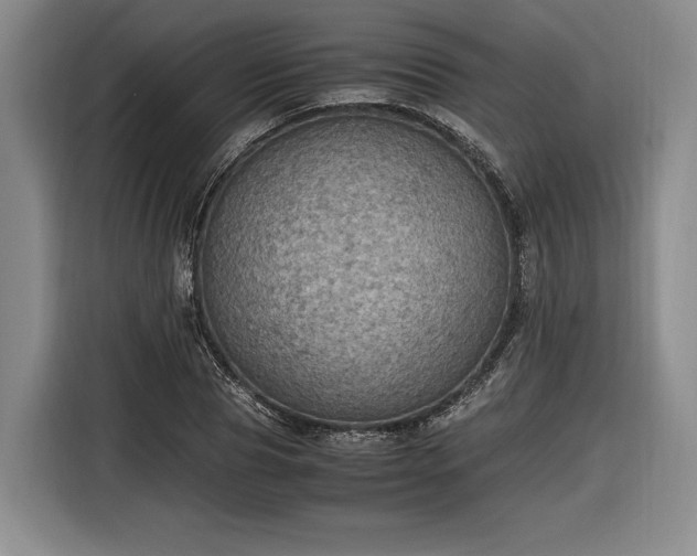 X0000116460929200912161229
