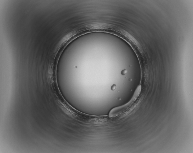 X0000116460930200912161229